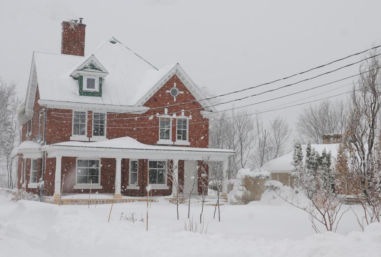 Napier House Apartment Campbellton Bagian luar foto